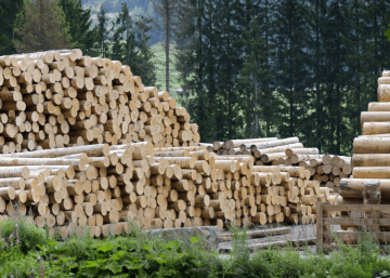 wood harvesting