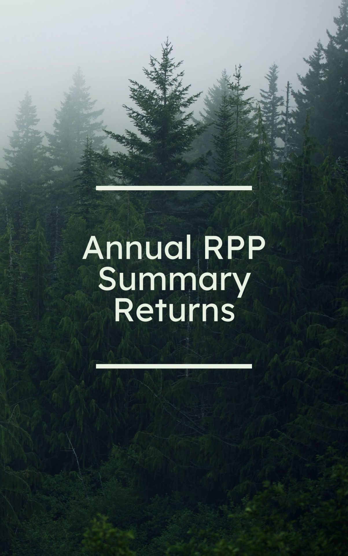 Annual RPP Summary