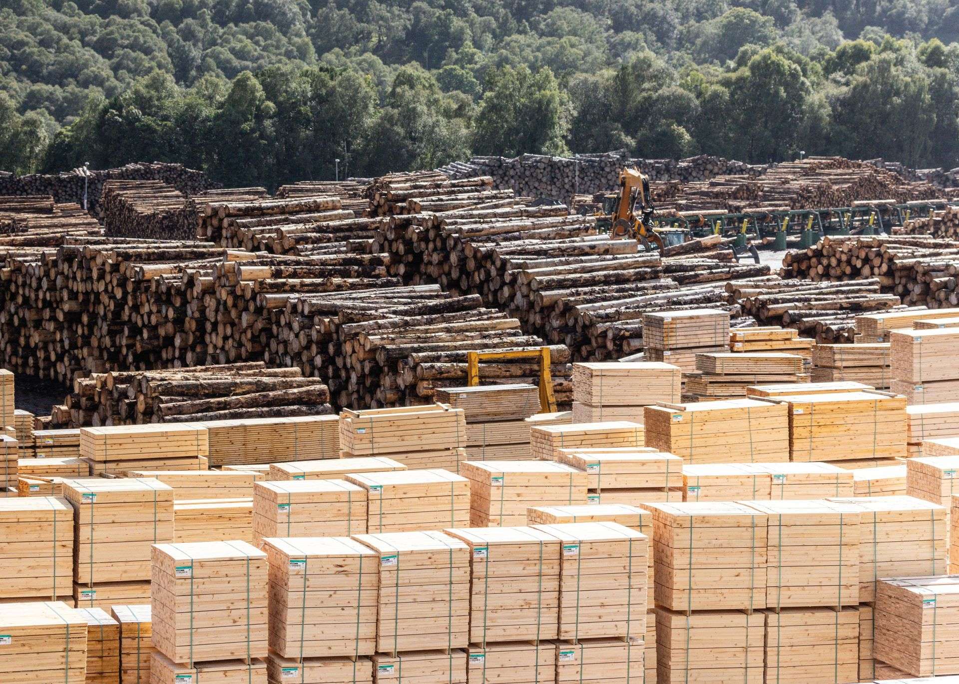 Timber in Construction 101 - Material Intelligence